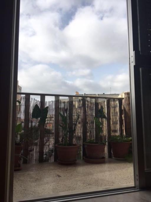 26/3 Casa Da Musica Διαμέρισμα Πόρτο Εξωτερικό φωτογραφία